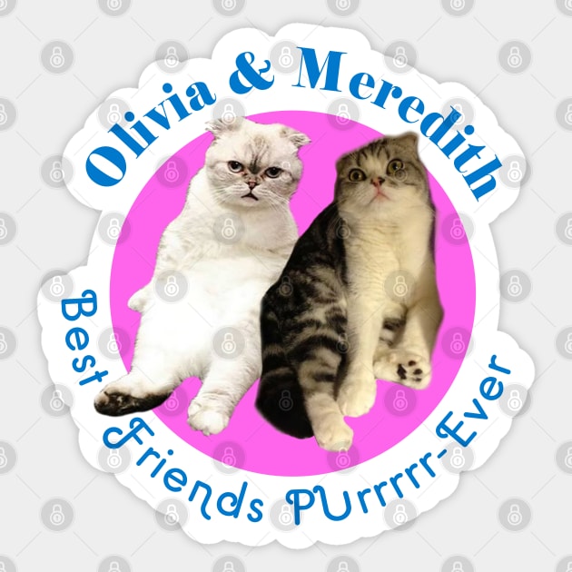 Olivia & Meredith Sticker by geeklyshirts